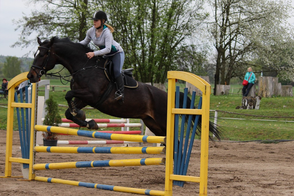 Hobby 28. dubna 2013 13:46:28