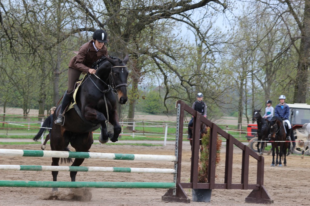 Hobby 28. dubna 2013 14:01:57