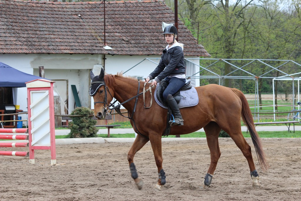 Hobby 28. dubna 2013 14:14:06