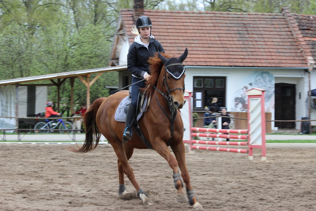 Hobby 28. dubna 2013 14:15:44