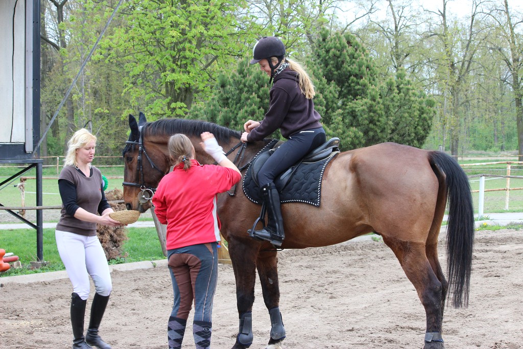 Hobby 28. dubna 2013 14:23:23