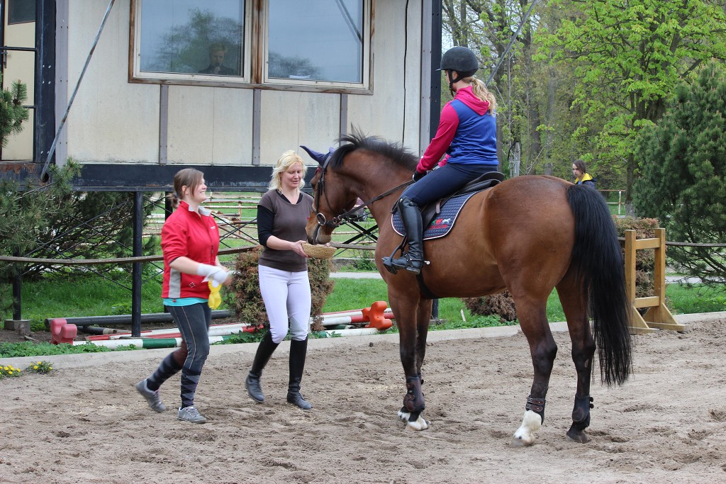 Hobby 28. dubna 2013 14:24:24