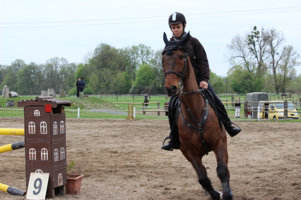 Hobby 28. dubna 2013 14:25:09