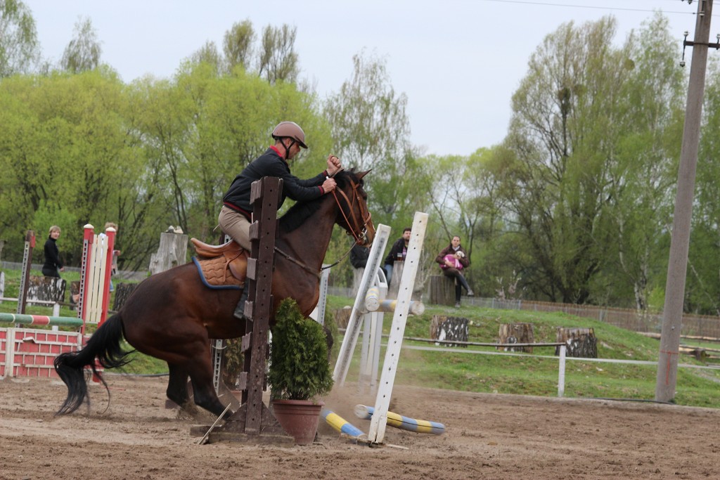 Hobby 28. dubna 2013 14:47:35