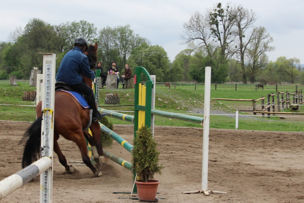 Hobby 28. dubna 2013 15:05:32