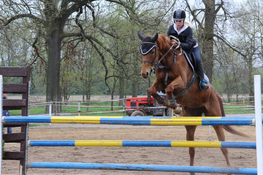 Hobby 28. dubna 2013 15:08:59