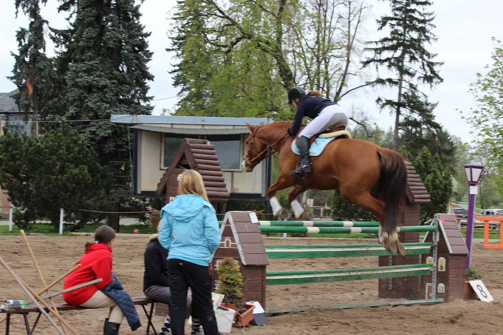 Hobby 28. dubna 2013 15:11:17