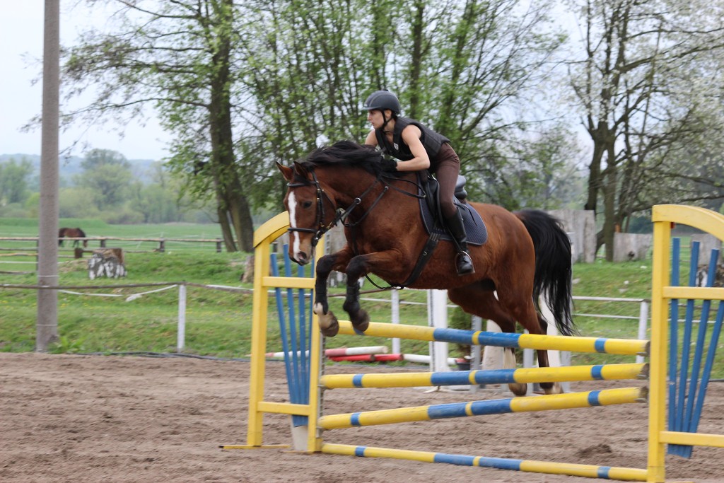 Hobby 28. dubna 2013 15:12:08