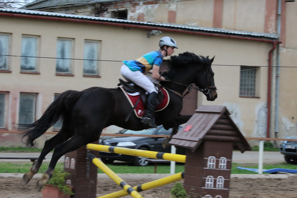 Hobby 28. dubna 2013 15:16:22