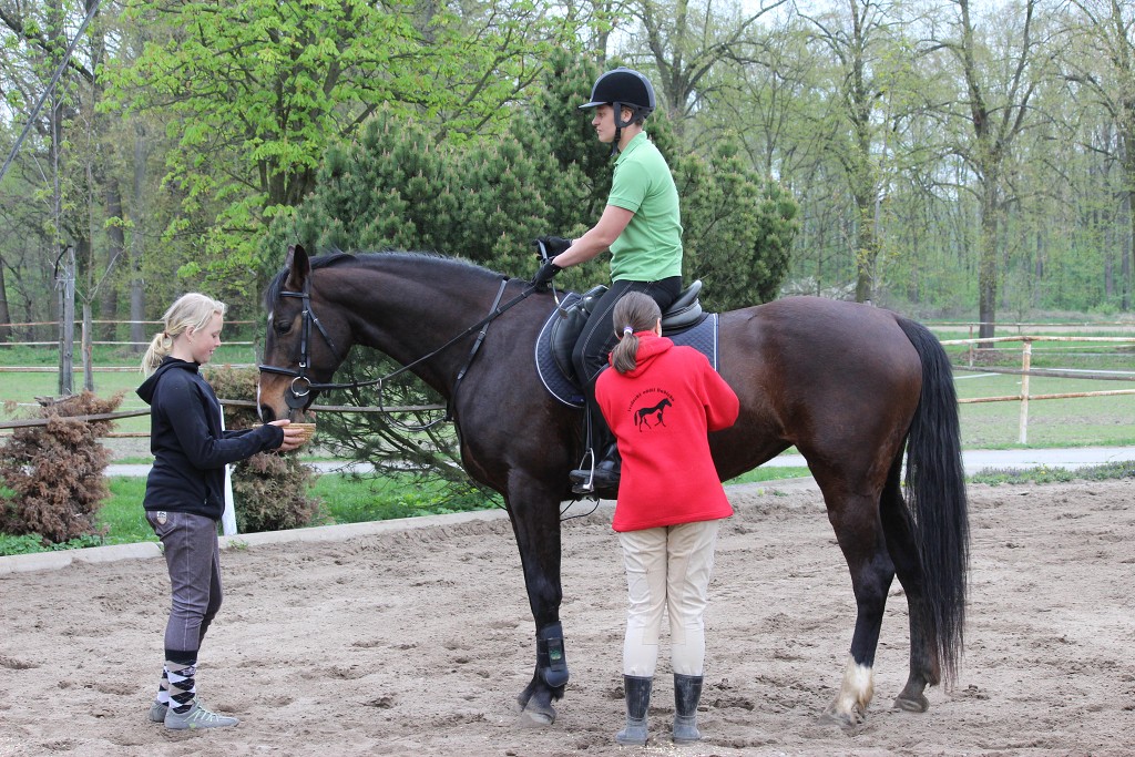 Hobby 28. dubna 2013 15:23:14