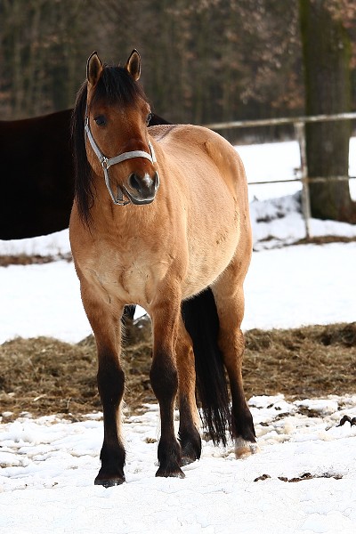Vbhy 28.2.2009