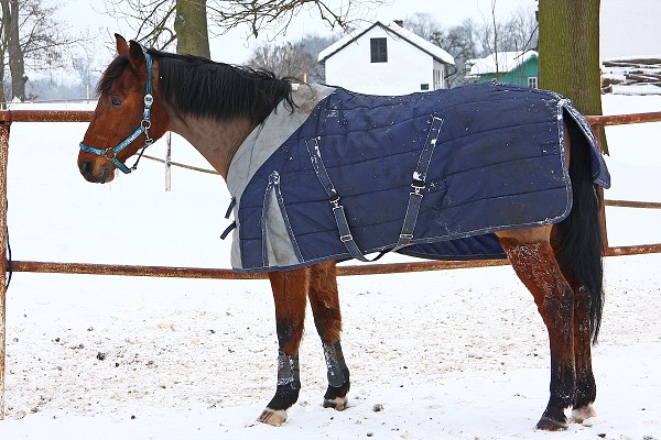 Ohrady 13.2.2010