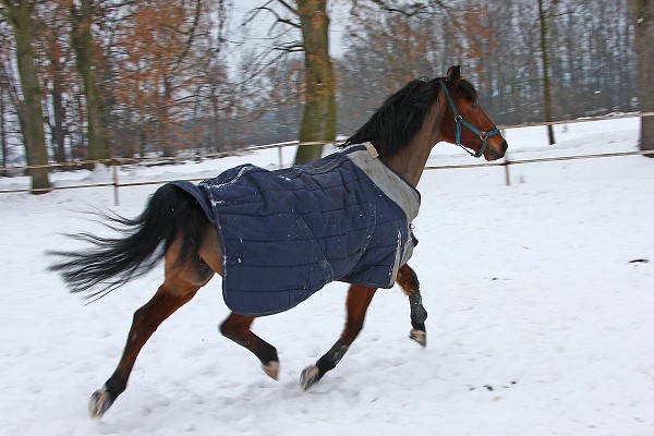 Ohrady 13.2.2010
