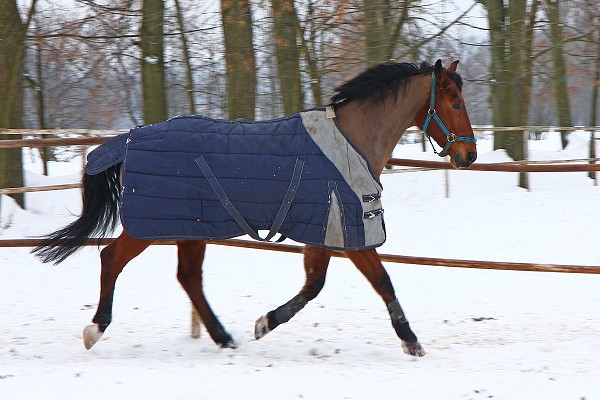 Ohrady 13.2.2010