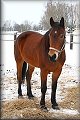 IMG_5107a 