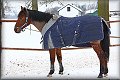 IMG_5109a 