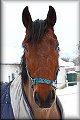 IMG_5110a 