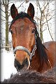 IMG_5134a 