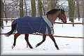 IMG_5150a 