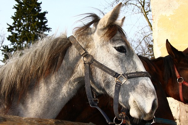  Hj 12.3.2011
