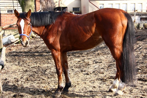  Hj 12.3.2011