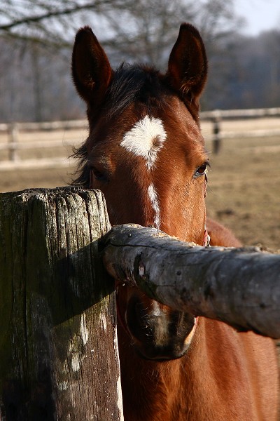  Hj 12.3.2011