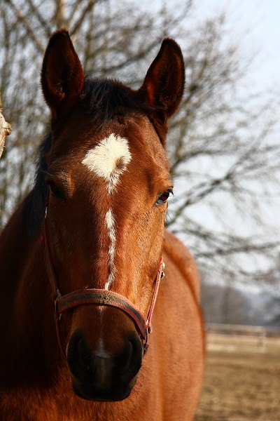  Hj 12.3.2011