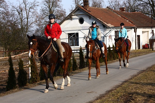 Hj 12.3.2011