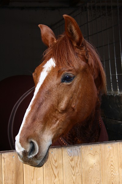  Hj 12.3.2011