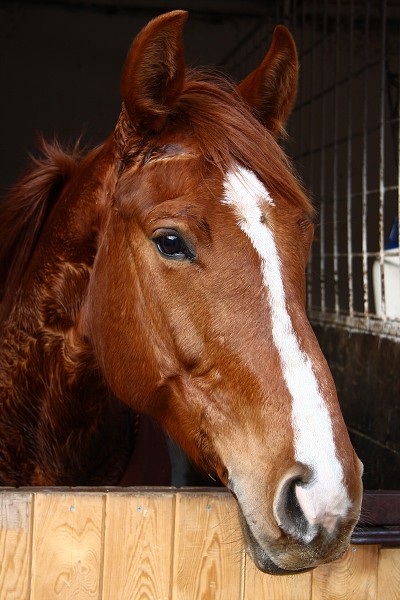 Hj 12.3.2011