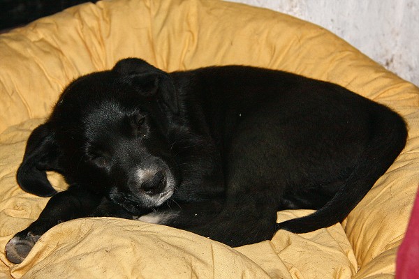  Hj 12.3.2011