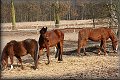 IMG_0305 