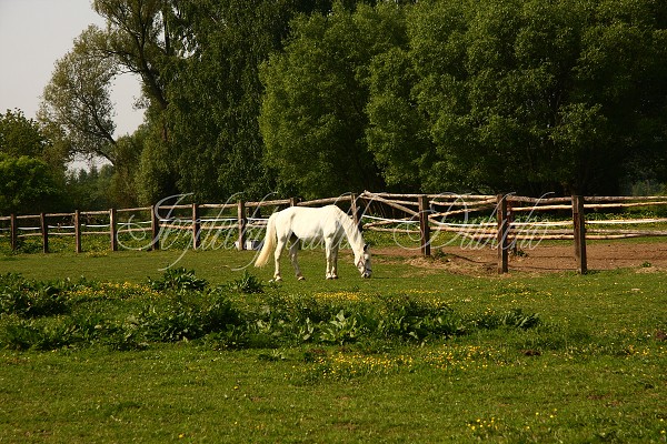 Ohrady_Hj 22.5.2011