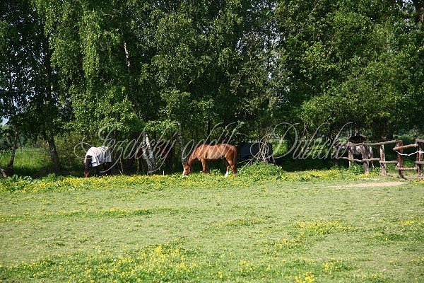 Ohrady_Hj 22.5.2011