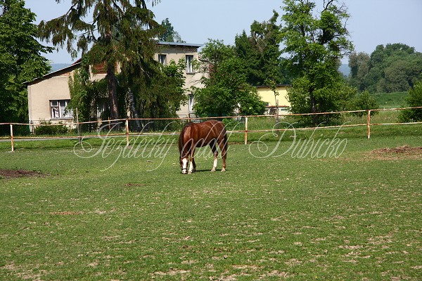 Ohrady_Hj 22.5.2011