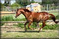 IMG_2477 