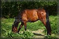 IMG_2482 