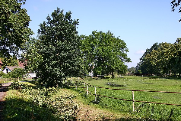 Kalamita 14.7.2009