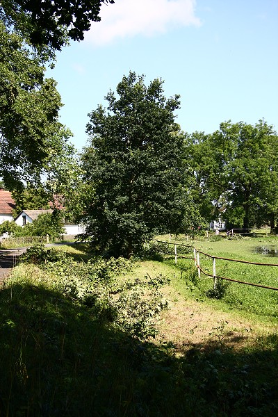 Kalamita 14.7.2009