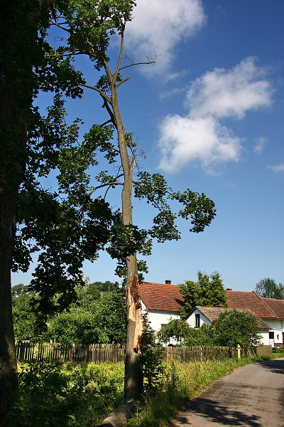 Kalamita 14.7.2009
